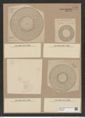 Craspedodiscus coscinodisucs Ehr. (de-Toni-Nr.: Genus 201, Species 4832) Zeichnungen Sammlung Grunow Nr. 8496 (NHMW-BOT-W0377968)